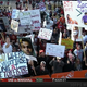 Illustration for article titled Roll Teabag, Roll: Your LSU-'Bama GameDay Sign Roundup